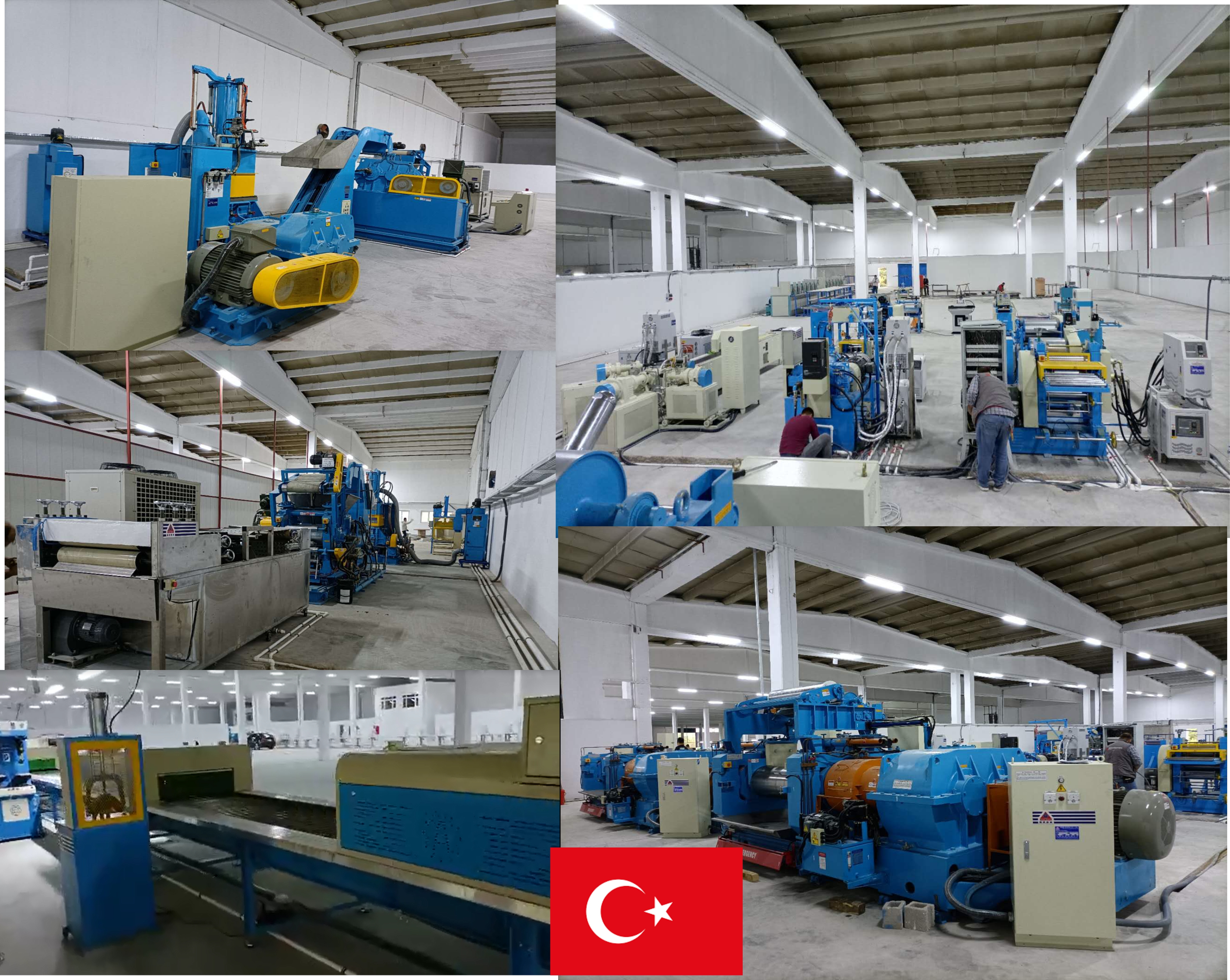 Turkey whole plant